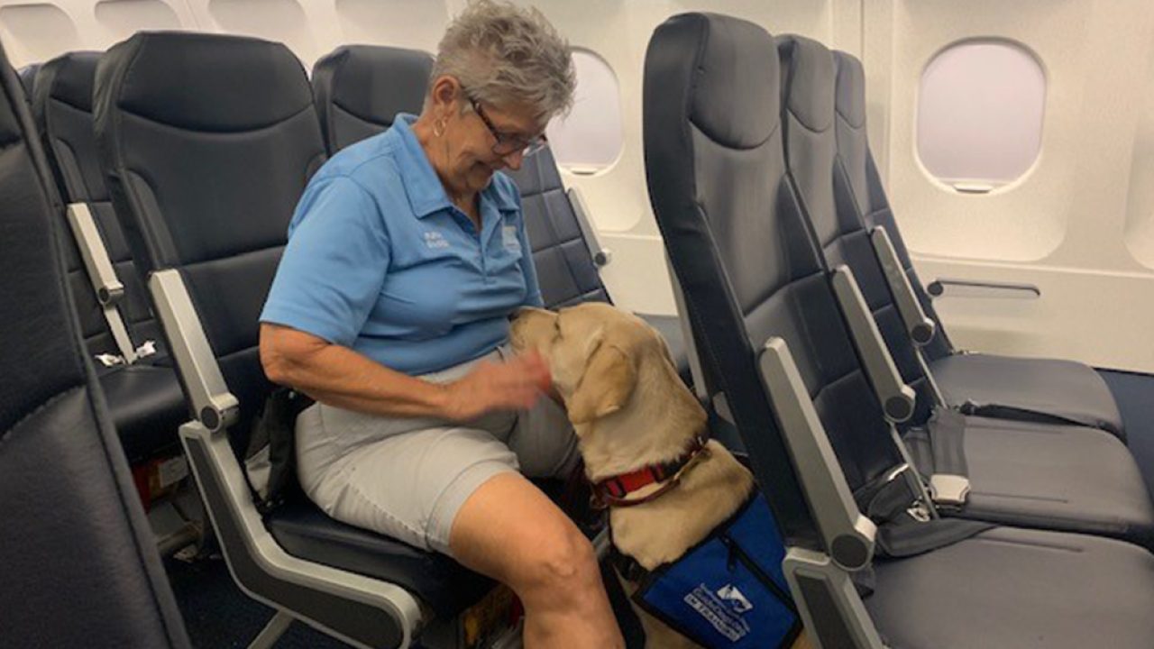Travel with a service animal