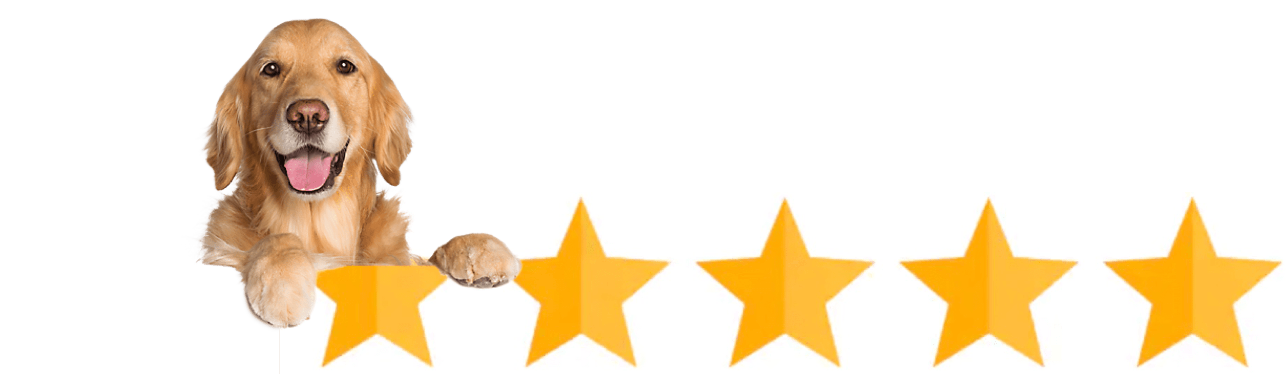 Five star reviews