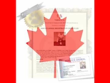 Housing letter documentation for service and support animals in Canada