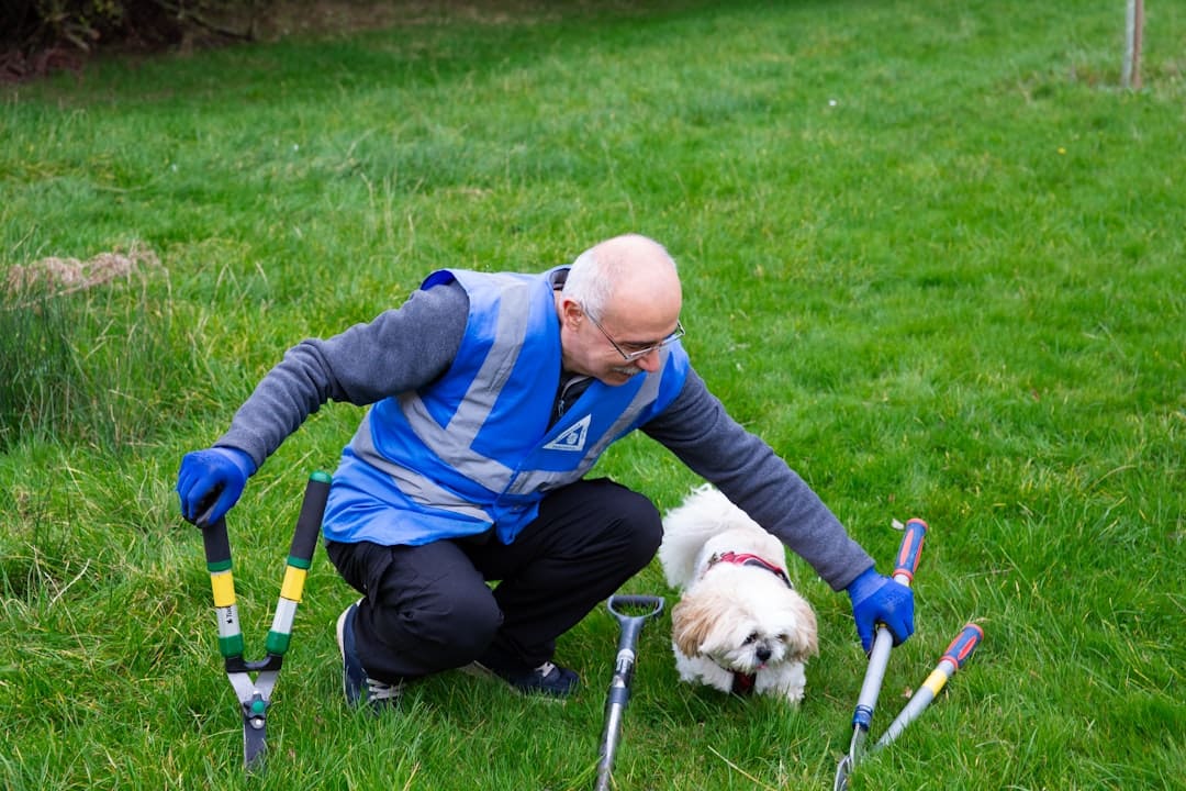 ADI standards. Gardener with tools and small dog on grass
