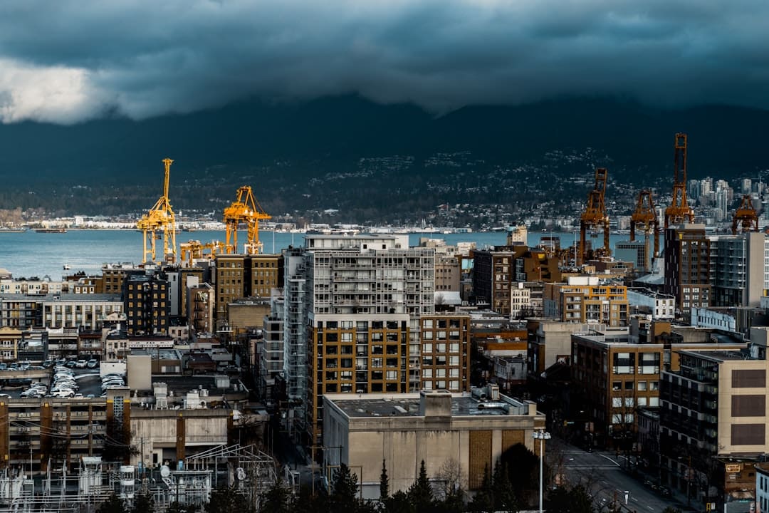 BC service dog. High angle photography of building under gray sky