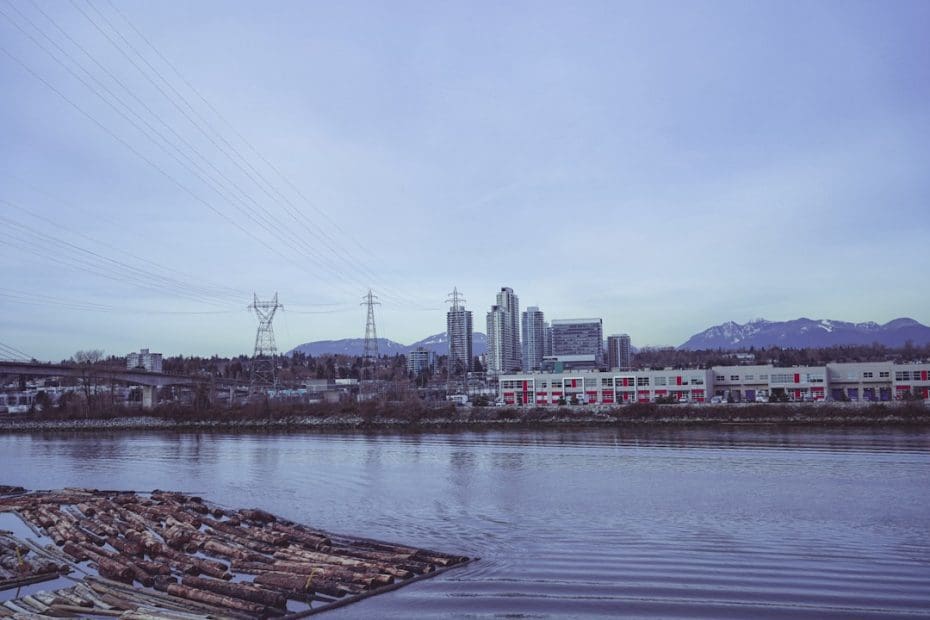 BC service dog — 7 Essential BC Service Dog Laws Every Owner Must Know in 2024