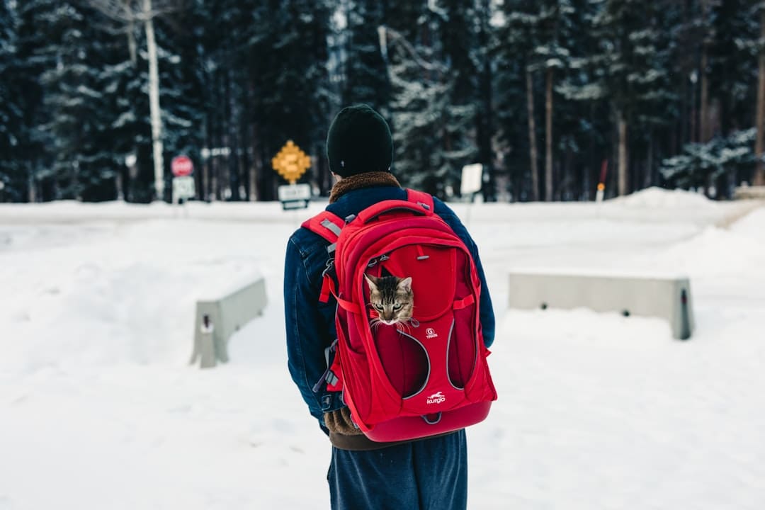 canadian airlines. A person with a red backpack walking in the snow