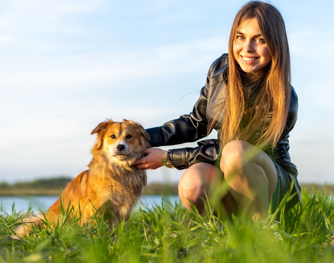 service dog certification. A woman kneeling down next to a brown dog