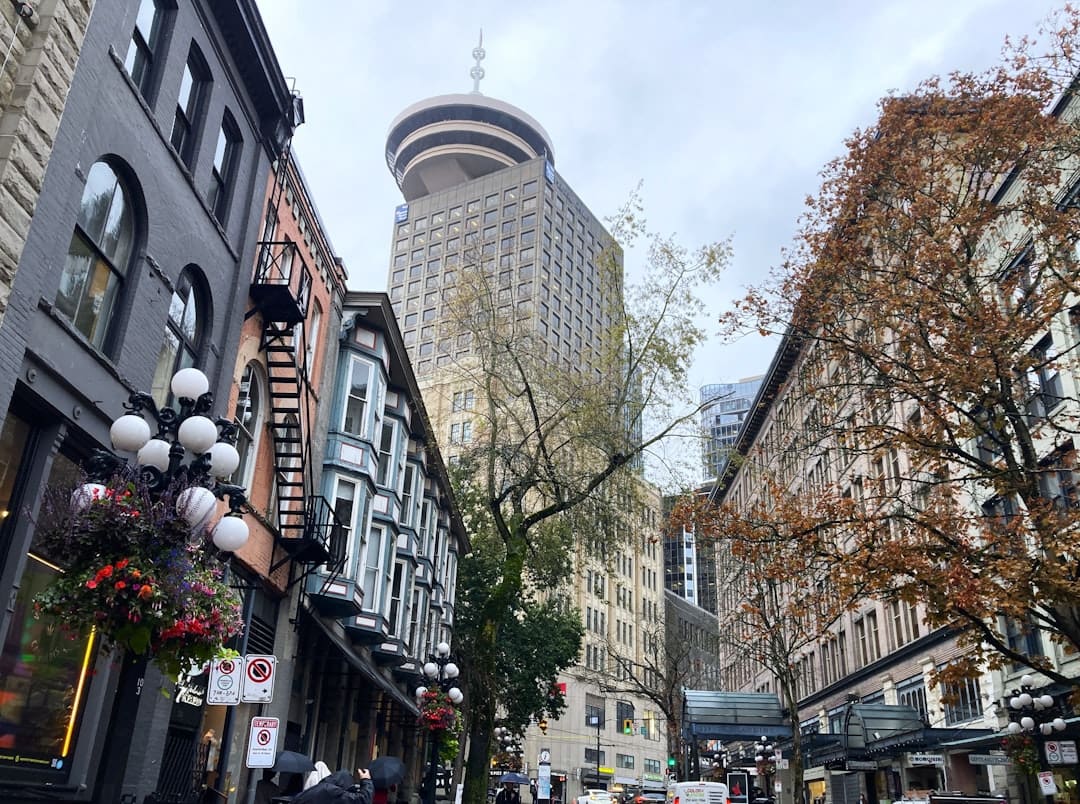 ontario support animal. A city street lined with tall buildings and trees