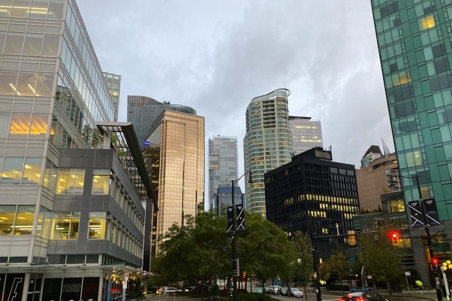 quebec support animal — 7 Essential Quebec Support Animal Rights Every Tenant Must Know in 2024