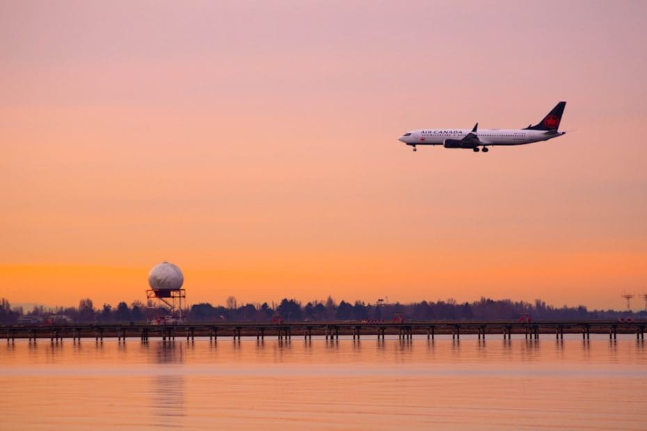 cross border service dog — 7 Essential Rules for Traveling Between Canada and the US with a Service Dog in 2026