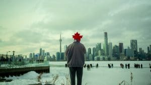 7 Signs of Legitimate Support Animal Documentation in Canada: A Landlord's Complete Guide