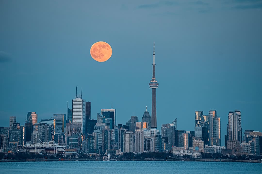 alberta support animal — city skyline under full moon