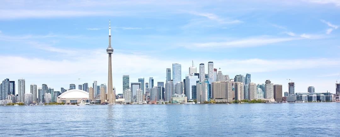 BC service dog — panoramic photography of city