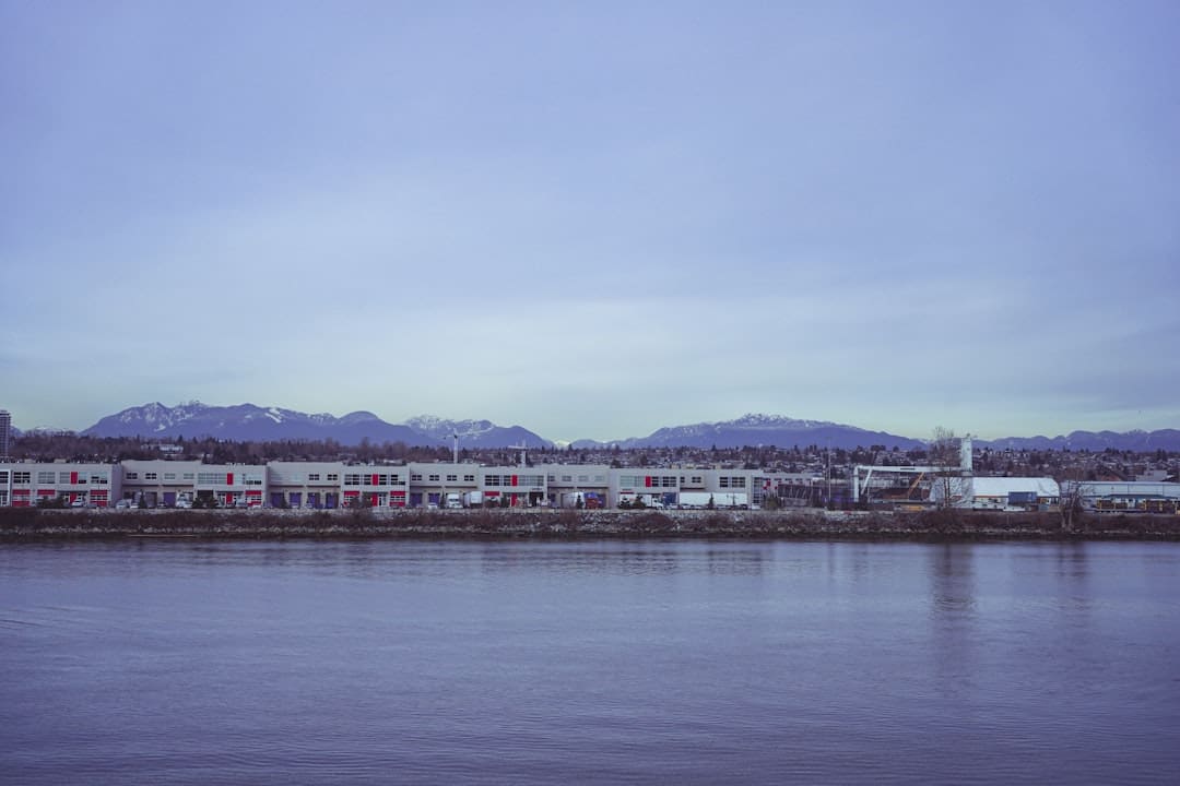 ontario support animal — a body of water with buildings and mountains in the background