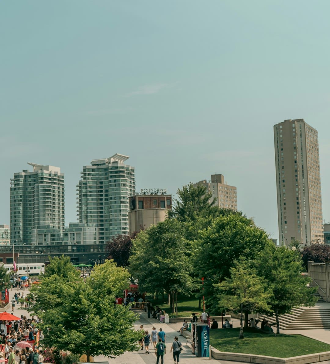 support animal documentation — A group of people walking down a street next to tall buildings
