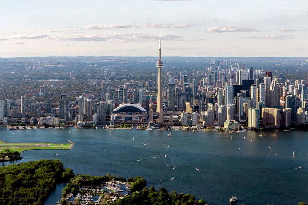 support animal rights — gray buildings near body of water in aerial photo