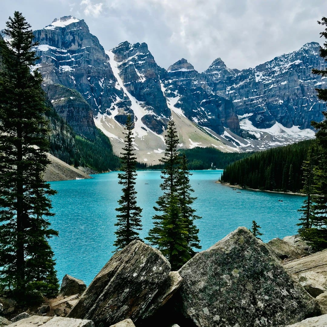Air Canada service dog — green pine trees near lake and snow covered mountain during daytime