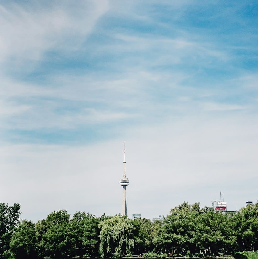 Quebec support animal — green trees under blue sky during daytime