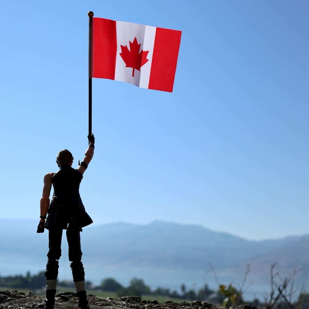 support animal documentation — man holding flag of us a standing on rock during daytime