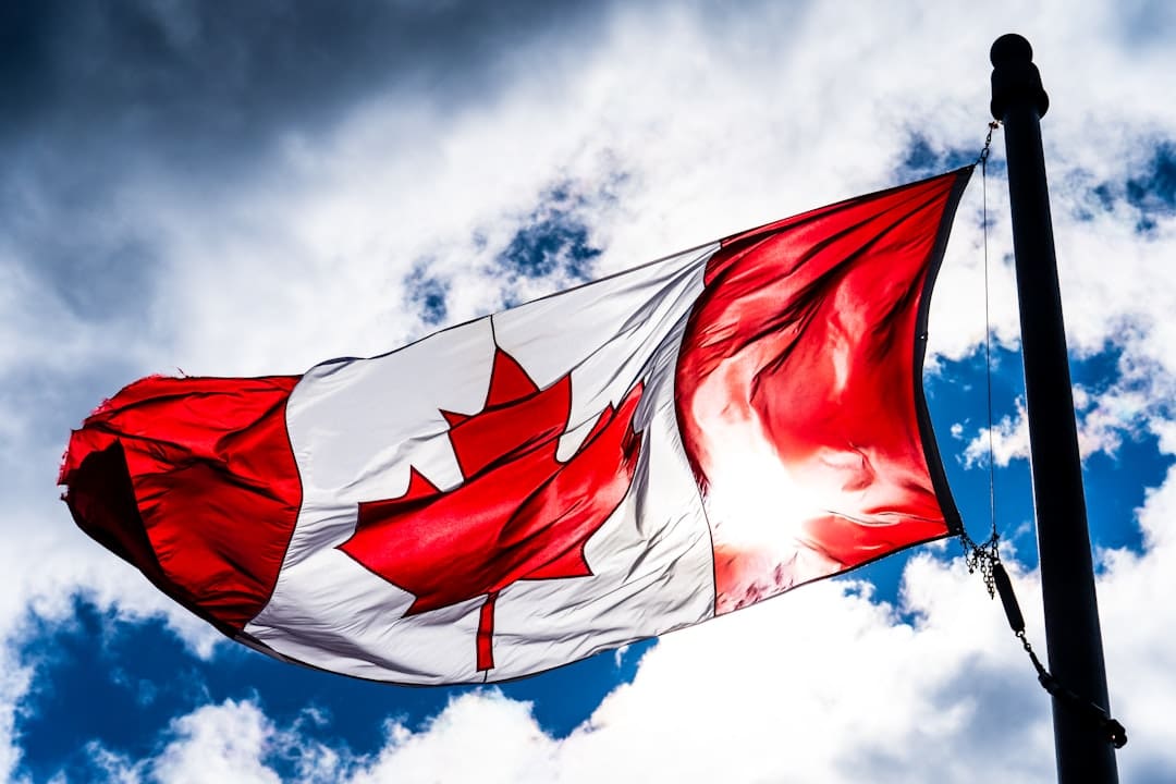 support animal documentation — red and white flag under blue sky during daytime