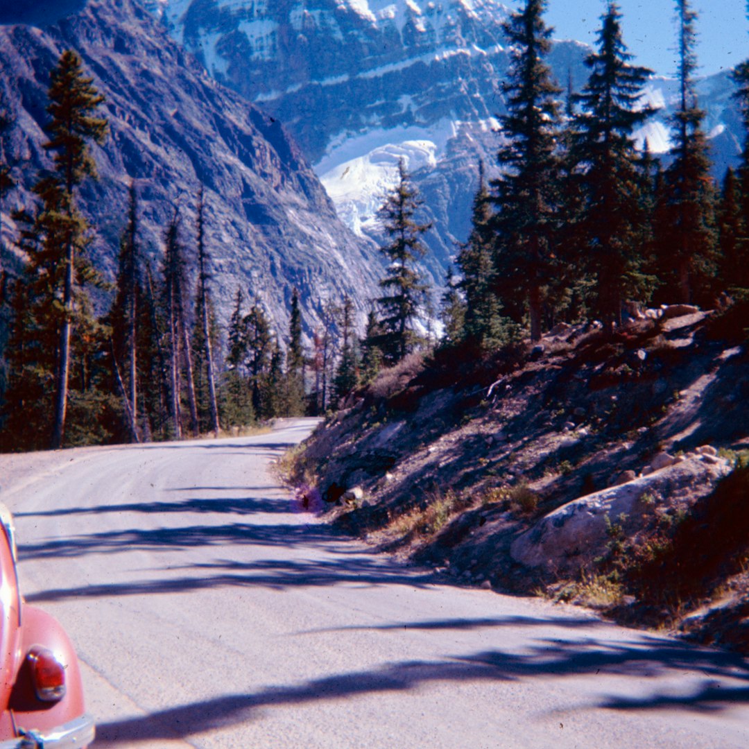 cross-border service dog travel — Red car driving on a scenic mountain road