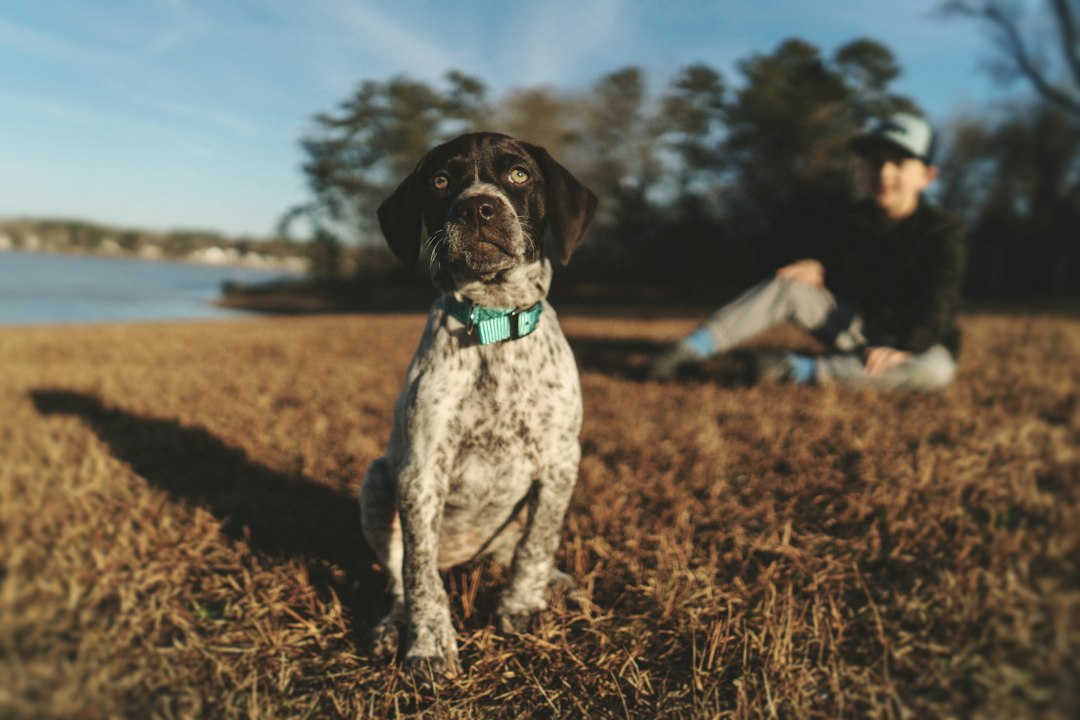 Assistance Dog International Standards for Canadian Handlers