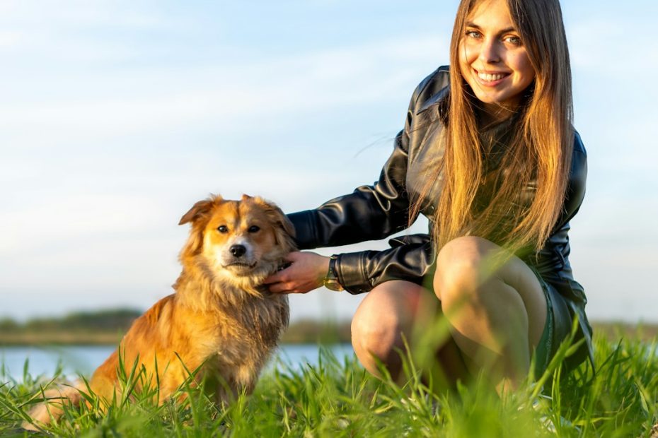 owner-training service dog — Owner-Training a Service Dog in Canada: Meeting Provincial Standards