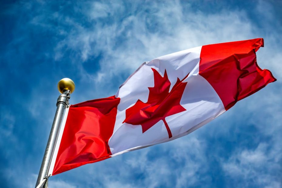 support animal rights — Support Animal Rights in Atlantic Canada: What Renters Need to Know