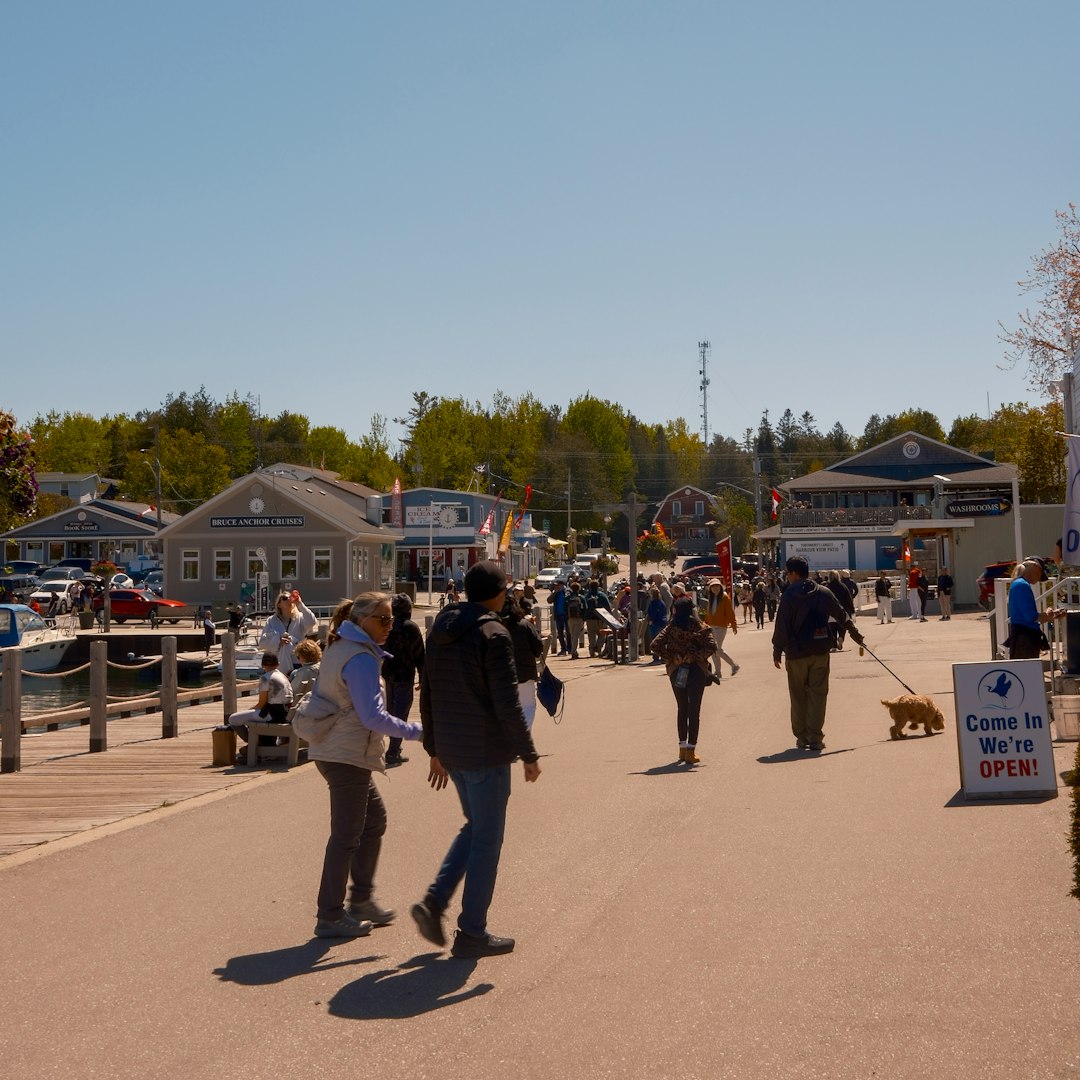 support animal territorial rights — People walking on a sunny boardwalk with shops and boats
